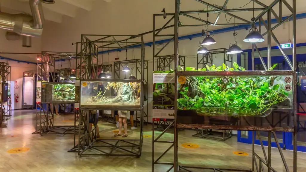 Bassins des loutres et des caïmans à l'Aquarium de Cattolica