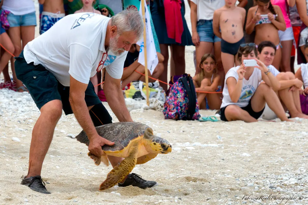 Fondazione Cetacea Riccione, centre de sauvetage des tortues marines