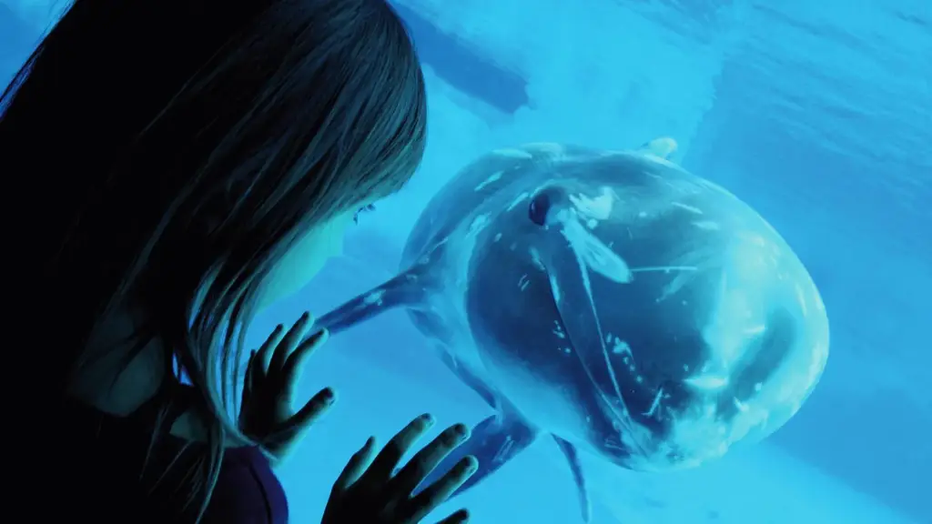 Delfin im Oltremare Riccione