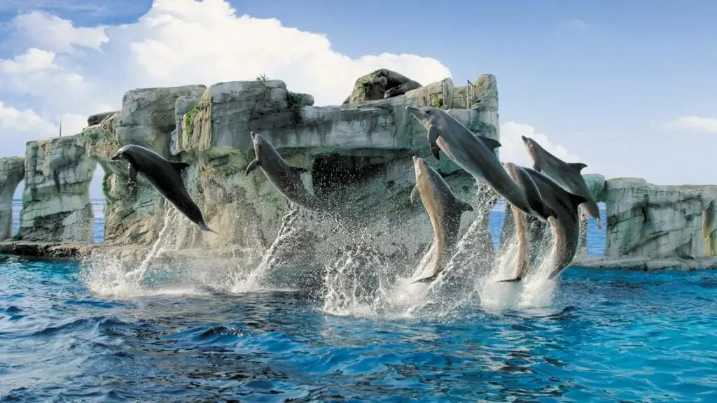 Delfinario Oltremare