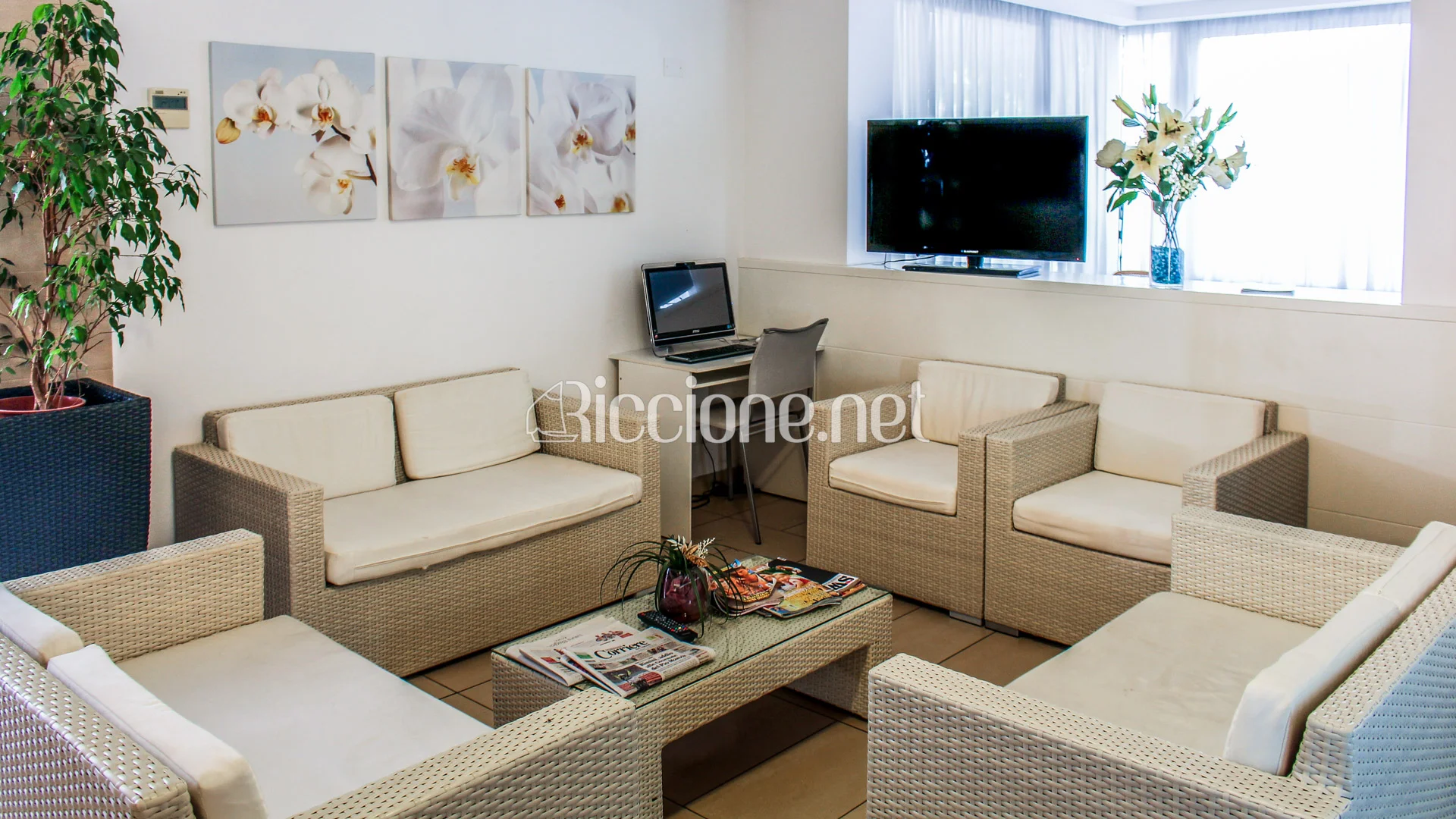 Sala comune con TV