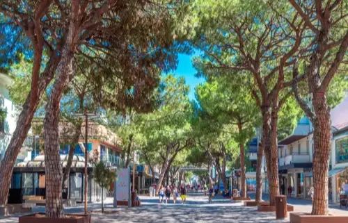 Cosa fare a Riccione